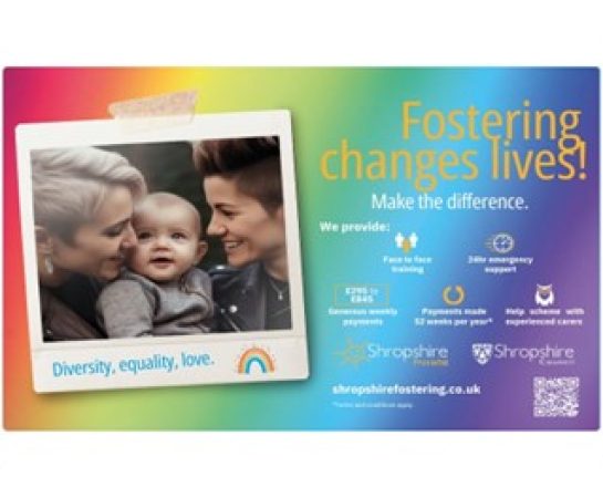 Fostering changes lives - infographic