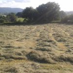 A hay field