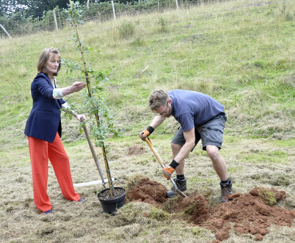 People planting trees