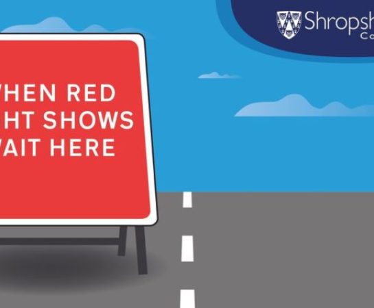 Graphic showing traffic lights-controlled roadworks