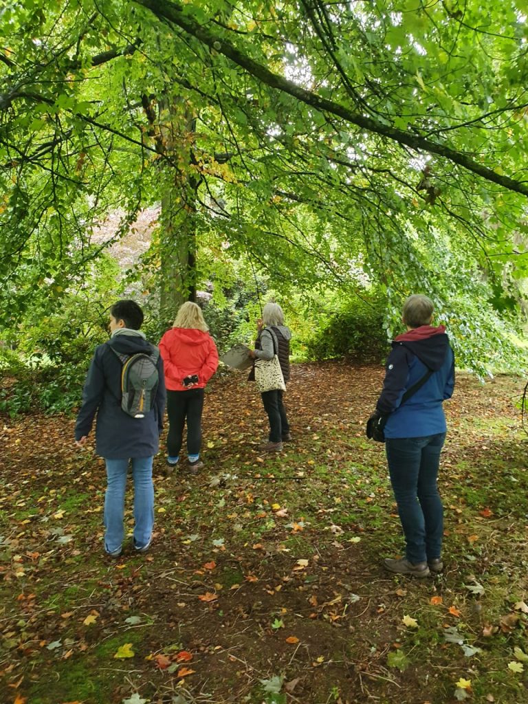 People on mindful walks at Severn Valley Country Park