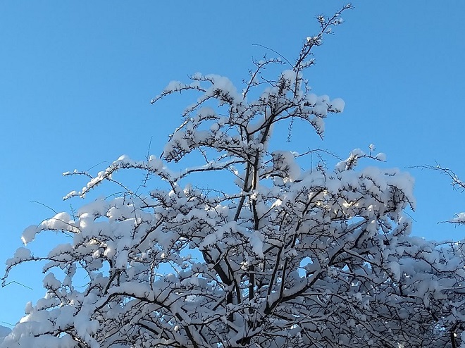 Image for Information for residents following last night’s snow