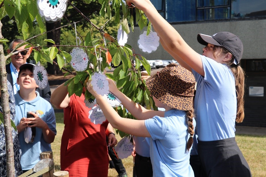 Pupils dressing the memorial tree with messages of remembrance and hope