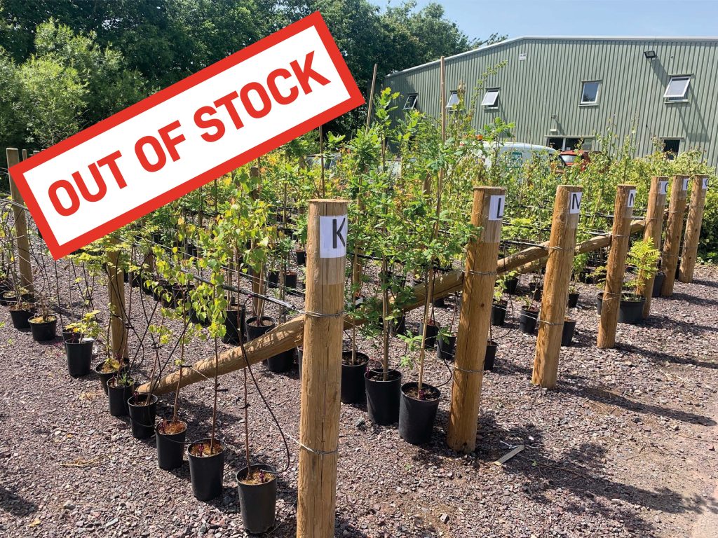 Trees are now out of stock