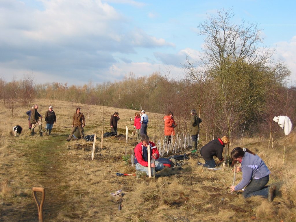 An image of volunteer groups tree planting with Shropshire Council's outdoor partnerships team.