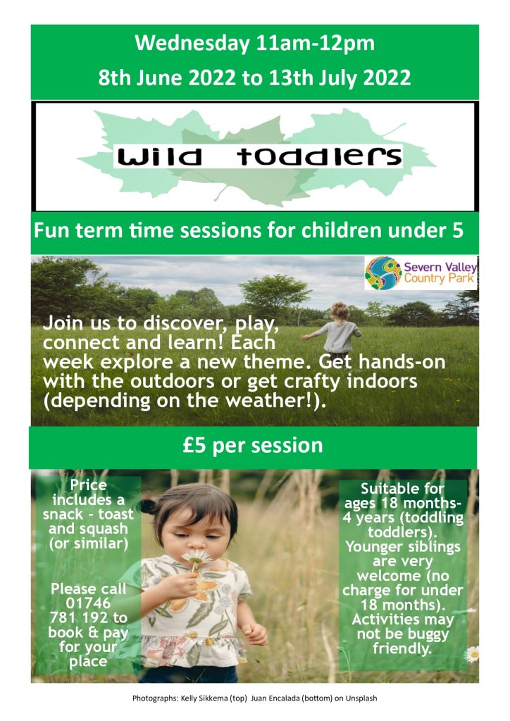 Wild Toddlers sessions at Severn Valley Country Park poster